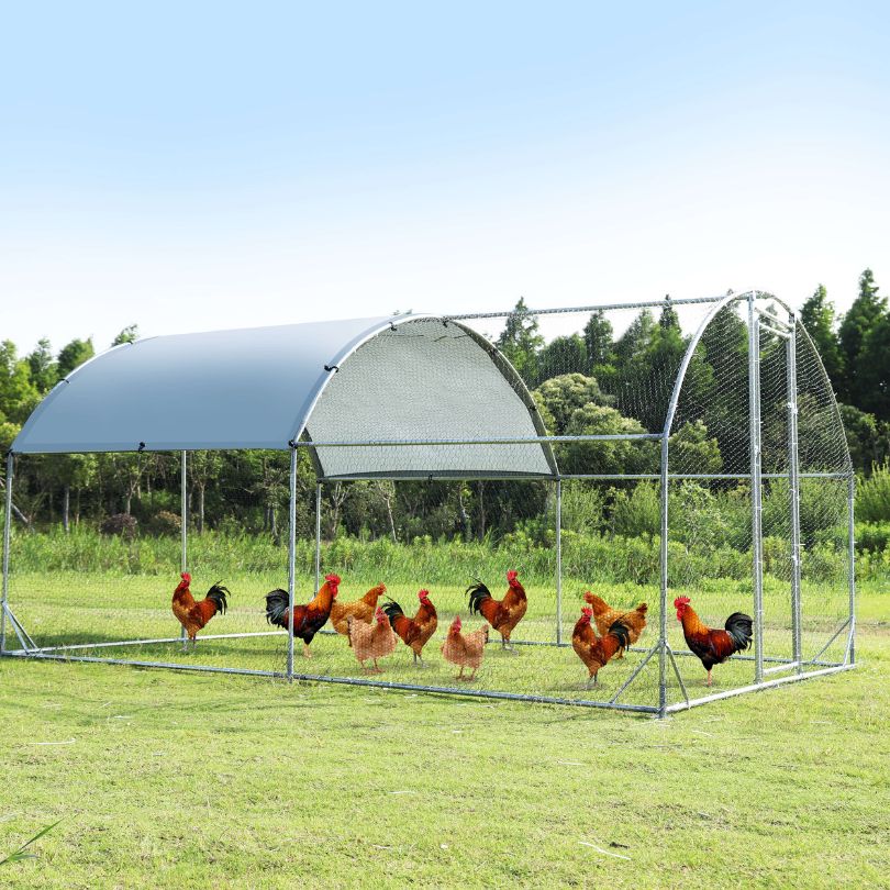 Large Metal Chicken Coop Outdoor House