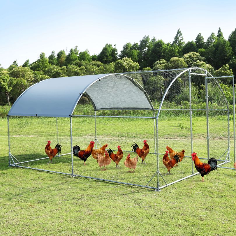 Large Metal Chicken Coop Outdoor House