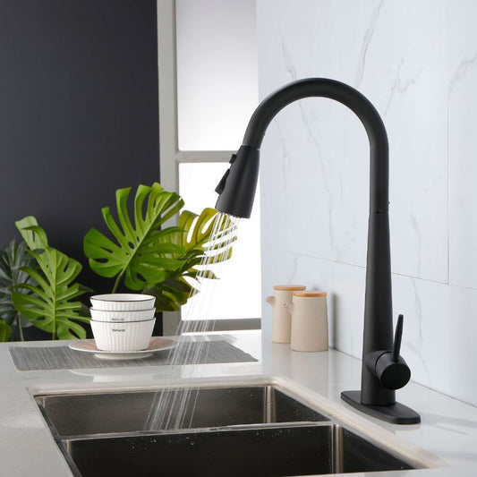 Modern Black Kitchen Faucet with Pull Out Sprayer