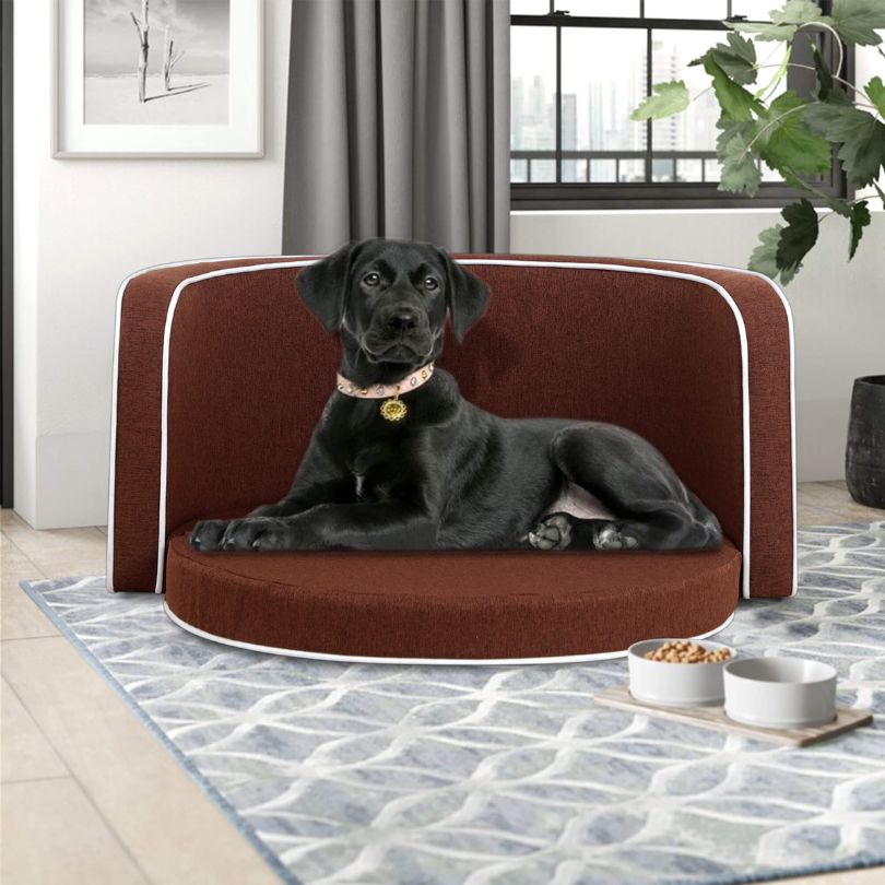 stylish pet furniture