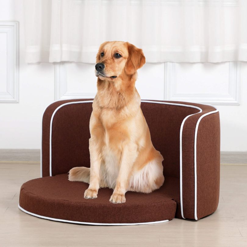 Modern Brown Pet Sofa Bed with Cushion