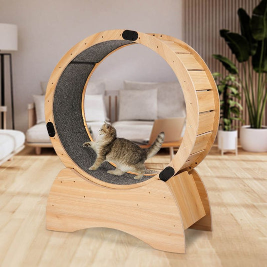 Modern Indoor Wooden Cat Exercise Wheel