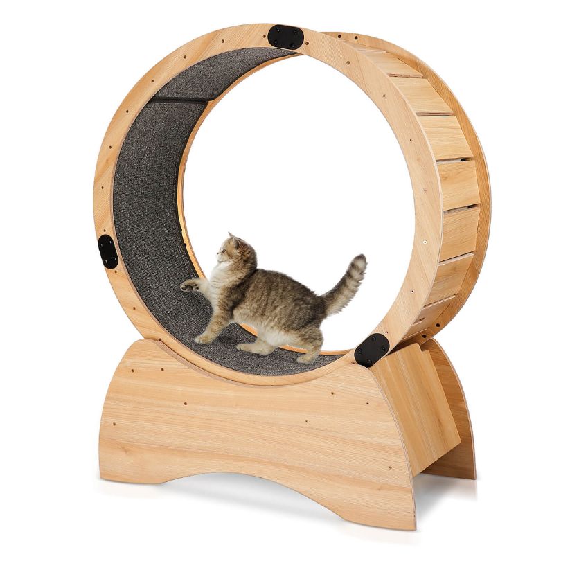 stylish pet furniture