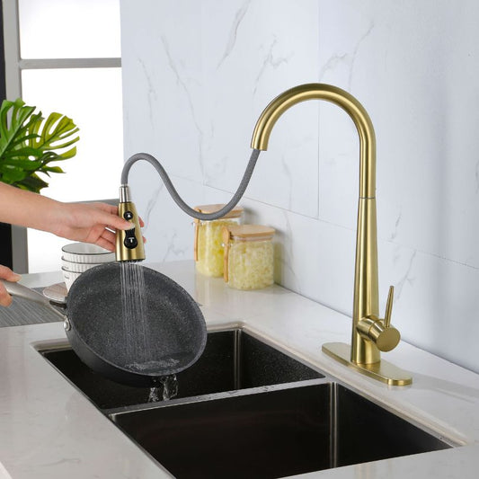 Modern Kitchen Sink Faucet with Pull Out Sprayer