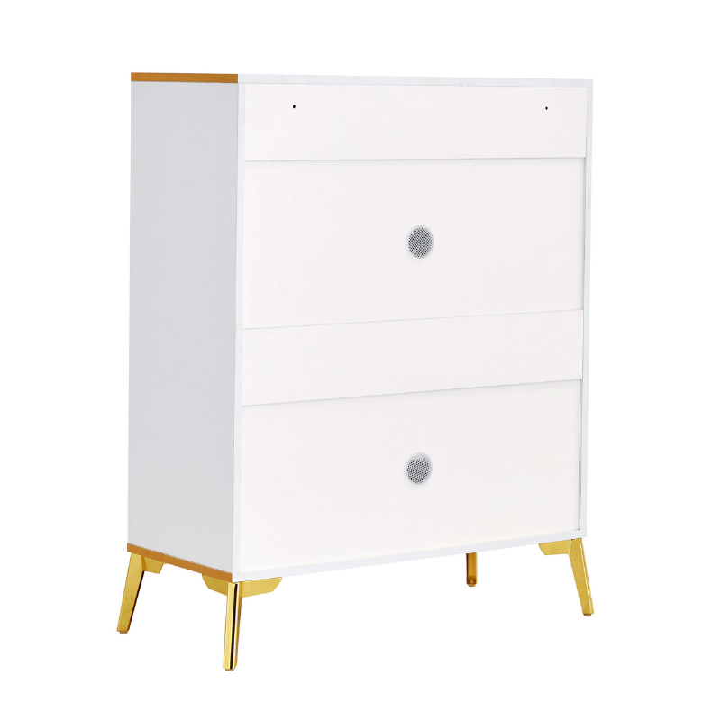 Modern White & Gold Shoe Console Cabinet with 5 Shelves