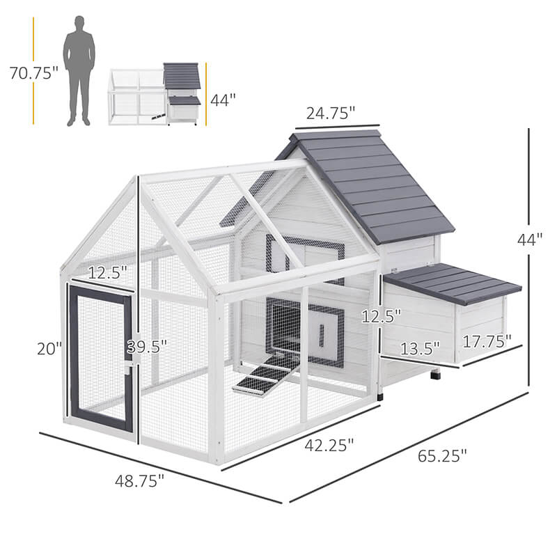 Outdoor Chicken Coop