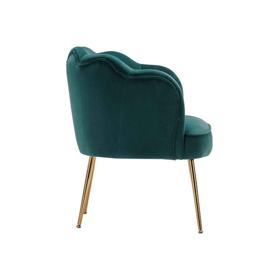 side view image and legs of the shell shape chair 